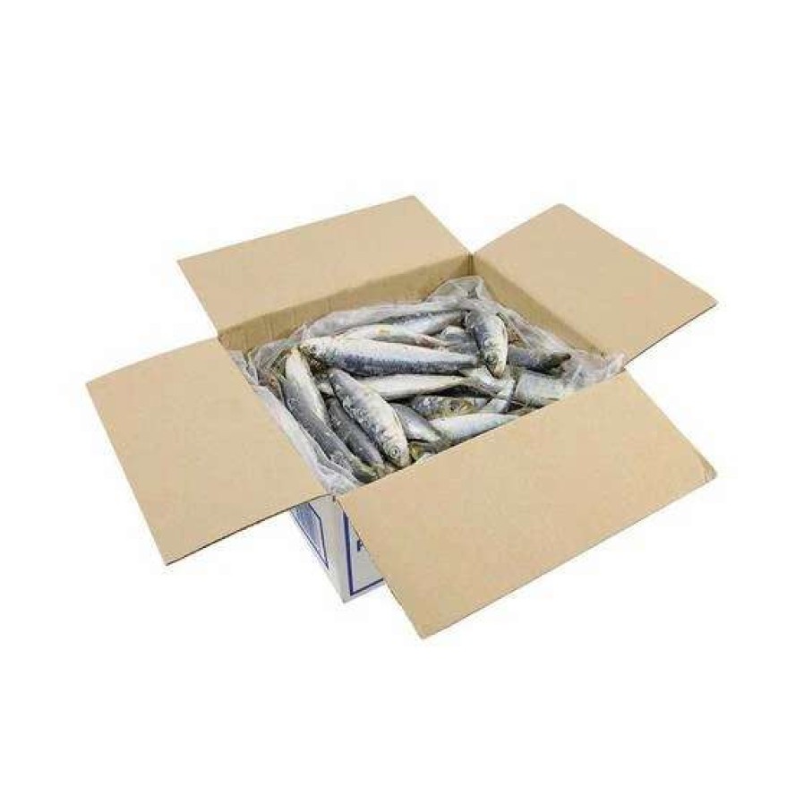 Fishing Tackle * | Tweed Bait Iqf Wa Pilchards 4Kg