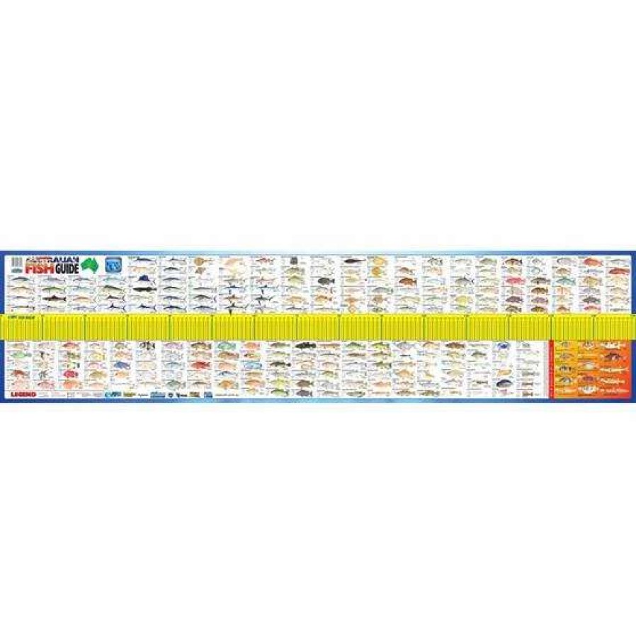 Fishing Tools * | Afn Maxi Fish Ruler