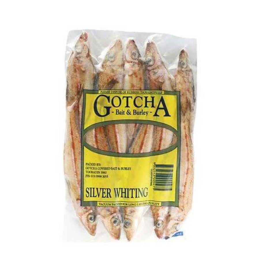 Fishing Tackle * | Gotcha Bait Silver Whiting