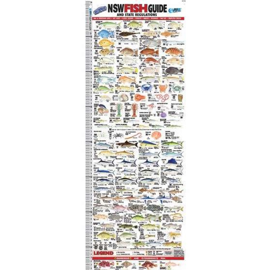 Fishing Tools * | Afn Fish Ruler Guide