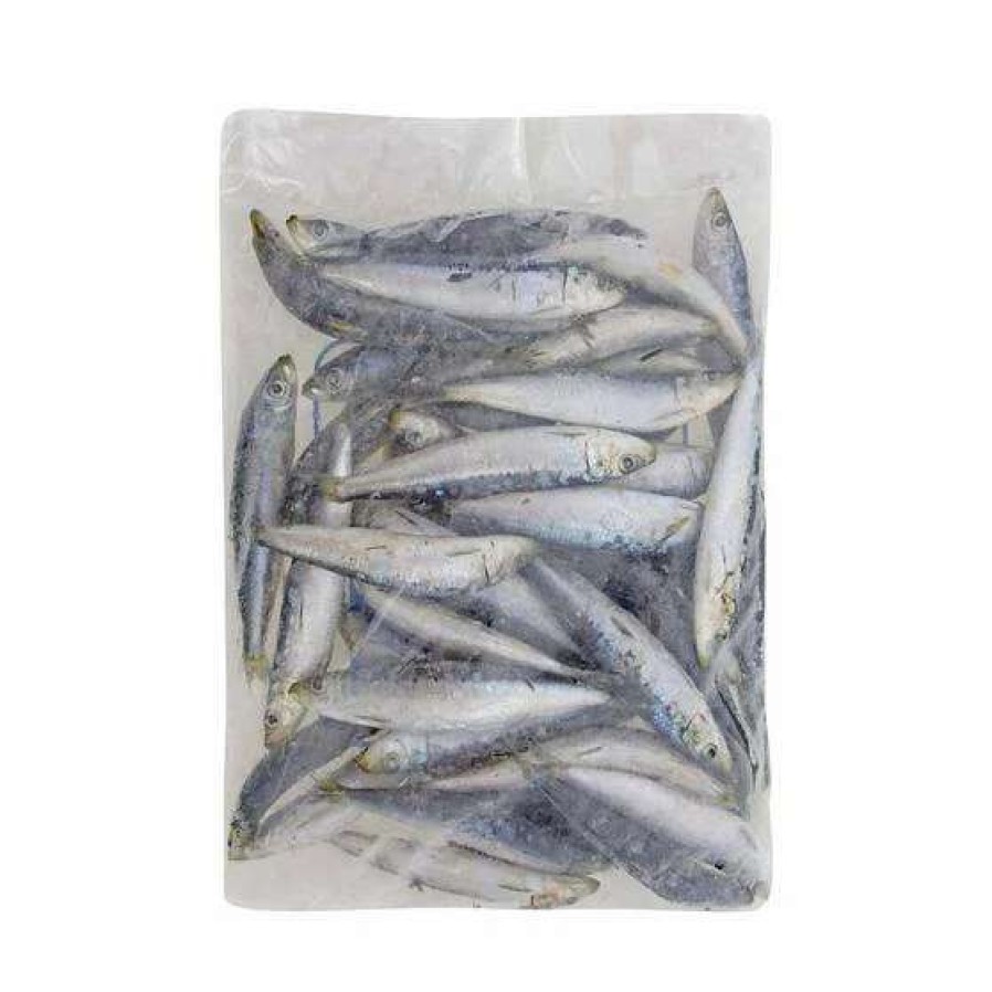 Fishing Tackle * | Tweed Bait Iqf Pilchards 2Kg